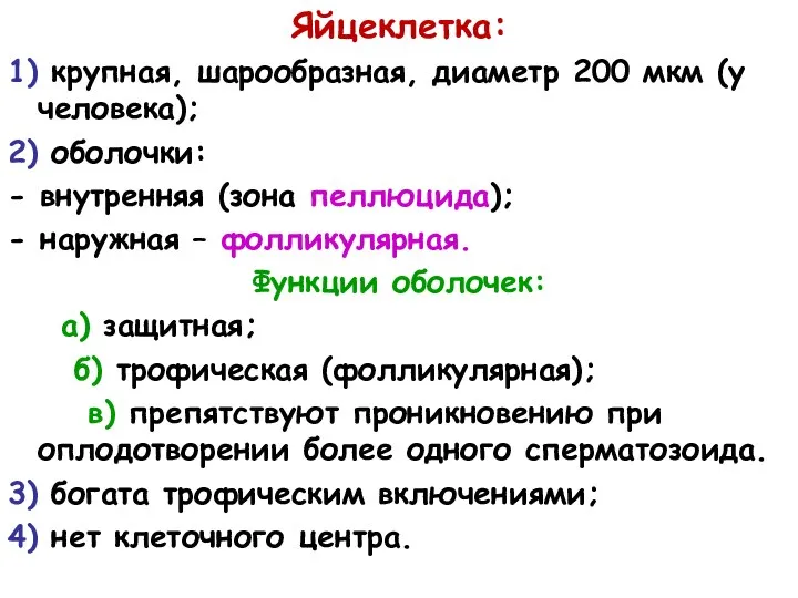 Яйцеклетка: 1) крупная, шарообразная, диаметр 200 мкм (у человека); 2) оболочки: -