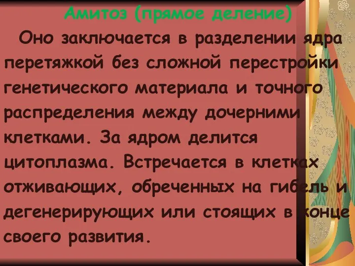 Амитоз (прямое деление) Оно заключается в разделении ядра перетяжкой без сложной перестройки