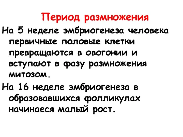 Период размножения На 5 неделе эмбриогенеза человека первичные половые клетки превращаются в