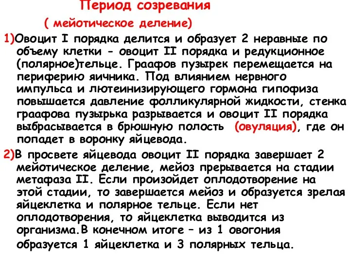 Период созревания ( мейотическое деление) 1)Овоцит I порядка делится и образует 2