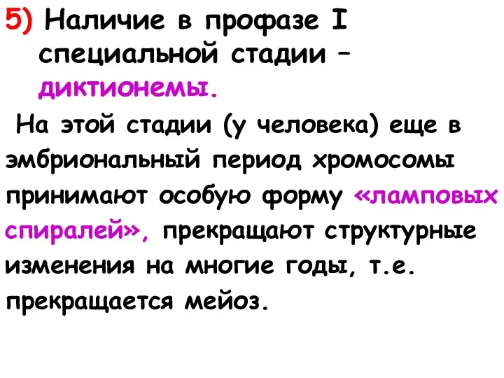 5) Наличие в профазе I специальной стадии – диктионемы. На этой стадии