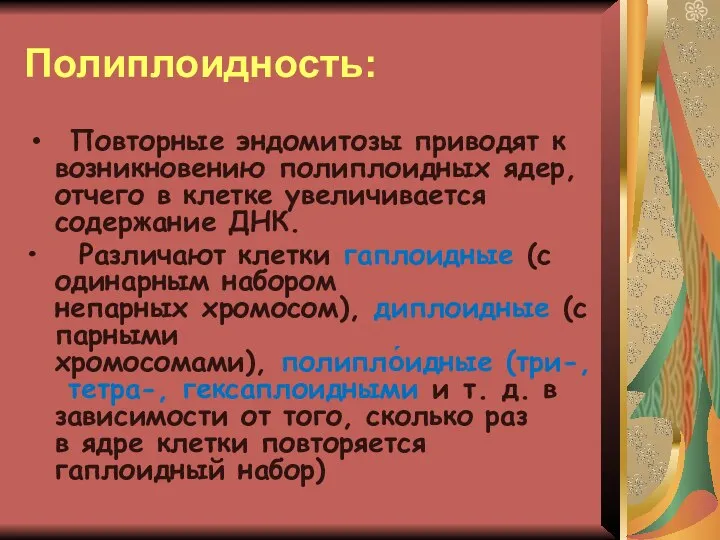 Полиплоидность: Повторные эндомитозы приводят к возникновению полиплоидных ядер, отчего в клетке увеличивается