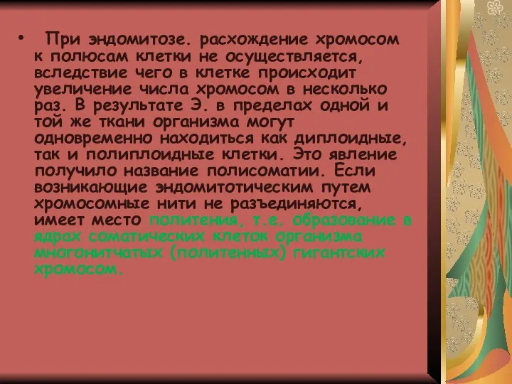 При эндомитозе. расхождение хромосом к полюсам клетки не осуществляется, вследствие чего в