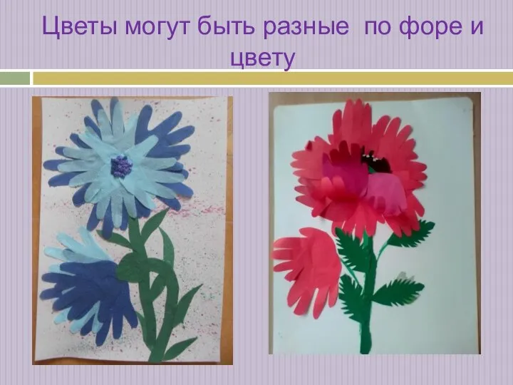 Цветы могут быть разные по форе и цвету