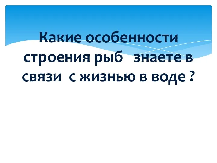 Какие особенности строения рыб знаете в связи с жизнью в воде ?