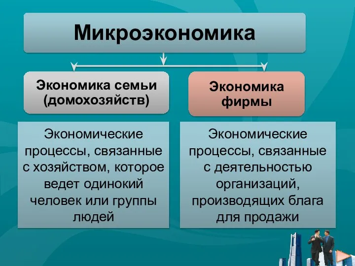 Экономические процессы, связанные с хозяйством, которое ведет одинокий человек или группы людей