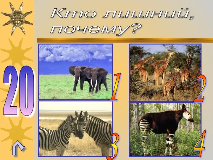 4 2 3 1 Кто лишний, почему? 20