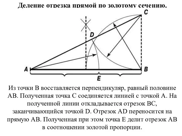 Деление отрезка прямой по золотому сечению. Из точки В восставляется перпендикуляр, равный