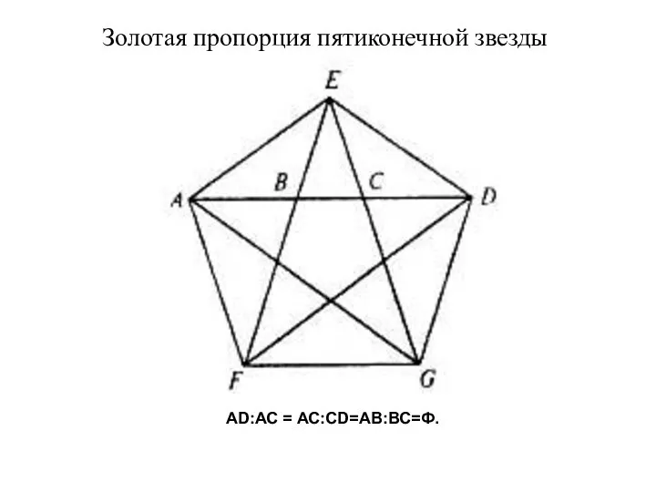 Золотая пропорция пятиконечной звезды АD:АС = АС:СD=АВ:ВС=Ф.