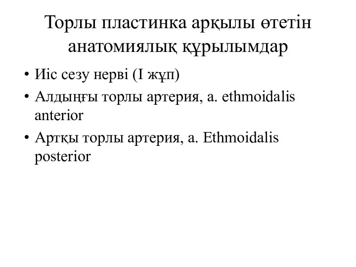 Торлы пластинка арқылы өтетін анатомиялық құрылымдар Иіс сезу нерві (І жұп) Алдыңғы