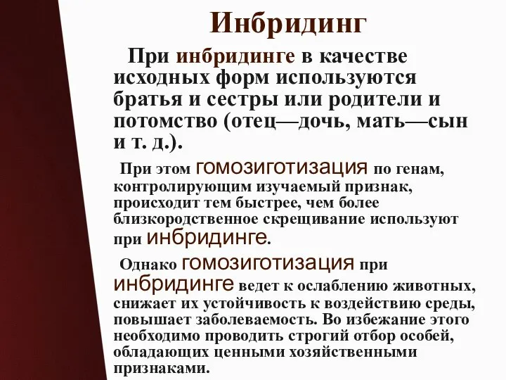 Инбридинг При инбридинге в качестве исходных форм используются братья и сестры или