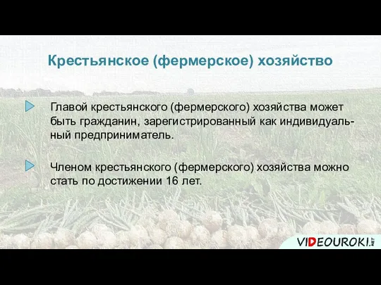 Крестьянское (фермерское) хозяйство Главой крестьянского (фермерского) хозяйства может быть гражданин, зарегистрированный как