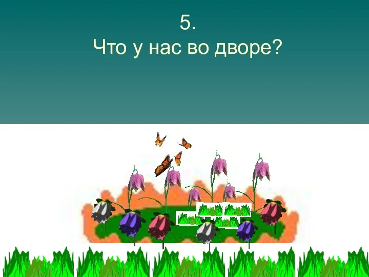 5. Что у нас во дворе?