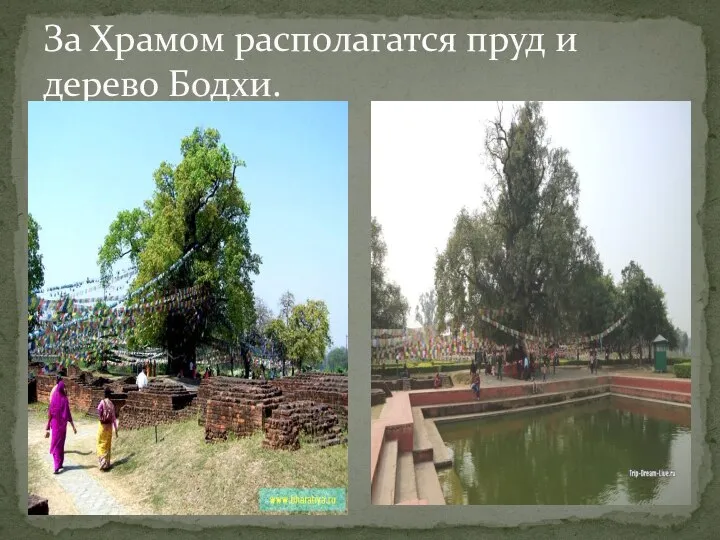 За Храмом располагатся пруд и дерево Бодхи.