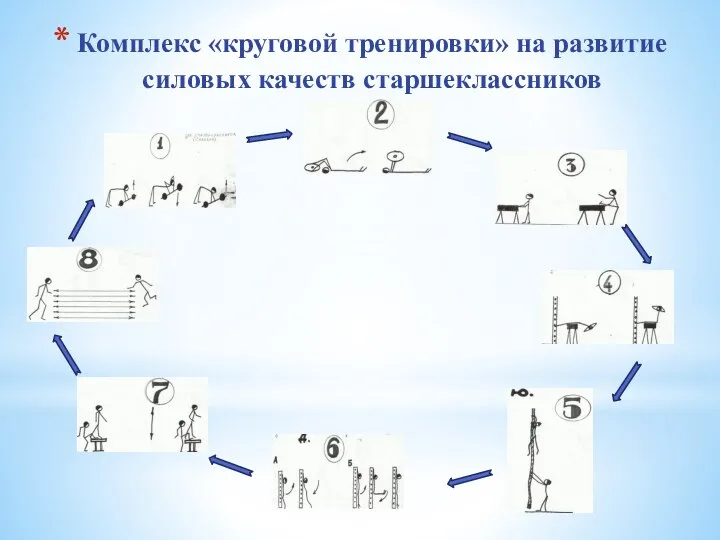 Комплекс «круговой тренировки» на развитие силовых качеств старшеклассников