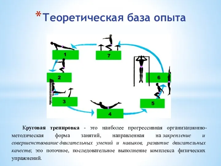 Теоретическая база опыта Круговая тренировка - это наиболее прогрессивная организационно-методическая форма занятий,