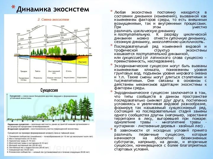 Динамика экосистем Любая экосистема постоянно находится в состоянии динамики (изменений), вызванной как