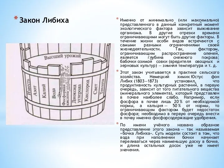 Закон Либиха Именно от минимально (или максимально) представленного в данный конкретный момент