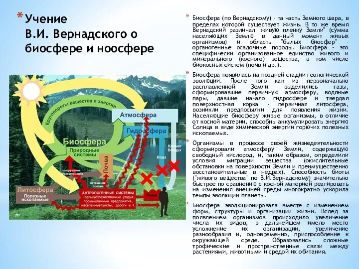 Учение В.И. Вернадского о биосфере и ноосфере Биосфера (по Вернадскому) - та