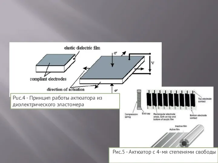 Рис.5 - Актюатор с 4-мя степенями свободы Рuc.4 - Принцип работы актюатора из диэлектрического эластомера