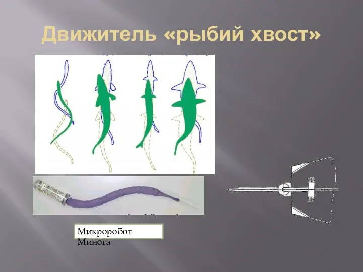 Движитель «рыбий хвост» Микроробот Минога