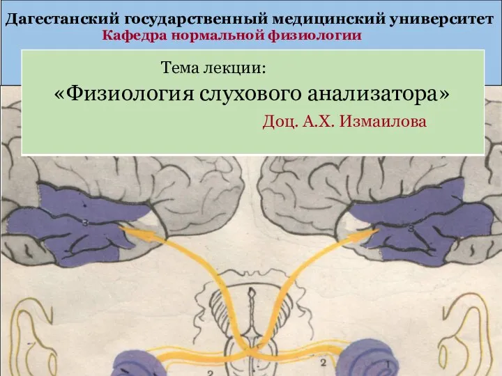 Дагестанский государственный медицинский университет Кафедра нормальной физиологии