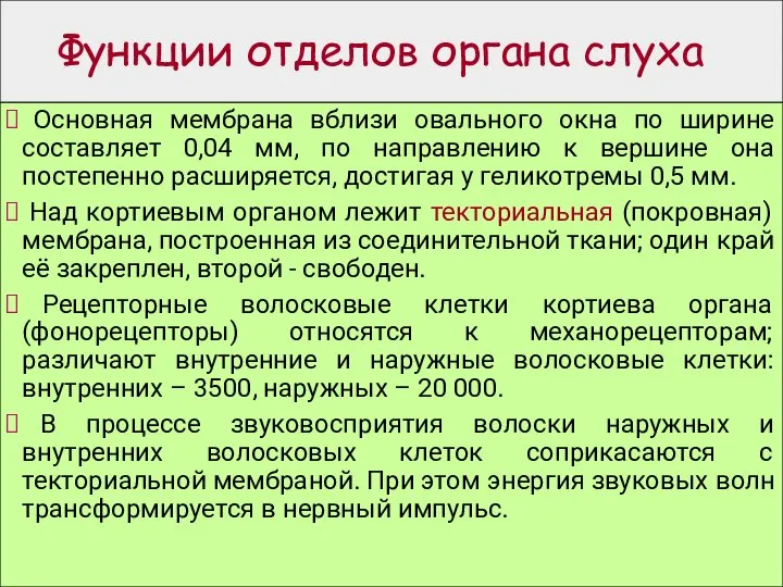 Функции отделов органа слуха Основная мембрана вблизи овального окна по ширине составляет