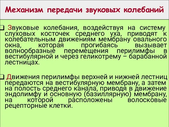 Механизм передачи звуковых колебаний Звуковые колебания, воздействуя на систему слуховых косточек среднего