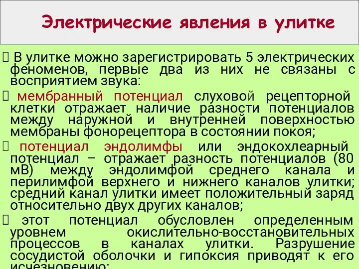 Электрические явления в улитке В улитке можно зарегистрировать 5 электрических феноменов, первые