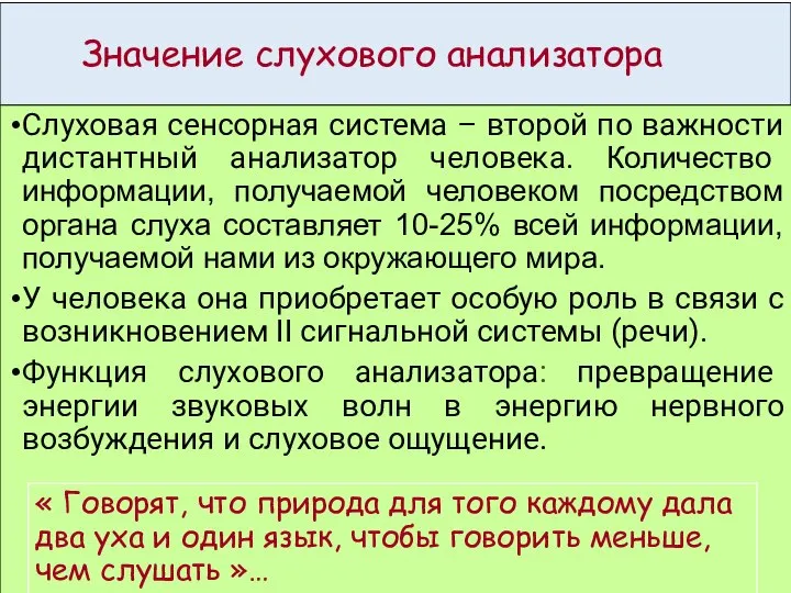 Значение слухового анализатора Слуховая сенсорная система – второй по важности дистантный анализатор