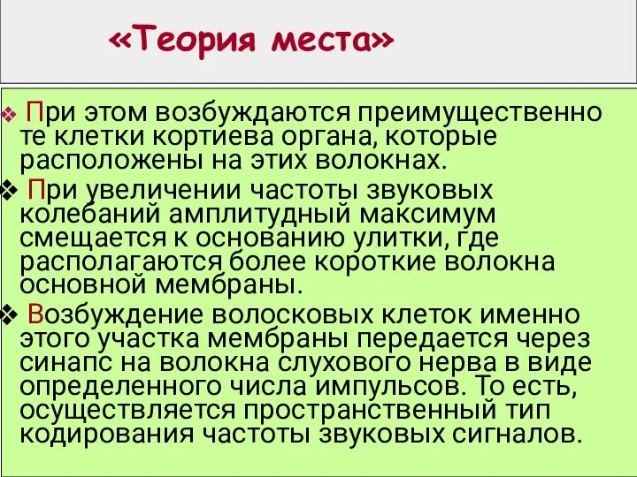 «Теория места» При этом возбуждаются преимущественно те клетки кортиева органа, которые расположены