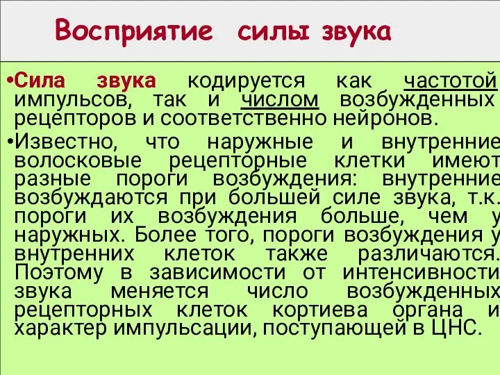 Восприятие силы звука Сила звука кодируется как частотой импульсов, так и числом