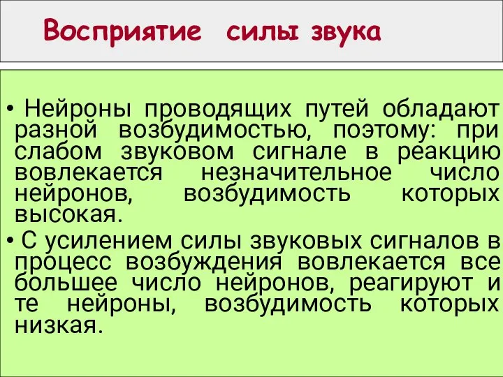 Восприятие силы звука Нейроны проводящих путей обладают разной возбудимостью, поэтому: при слабом