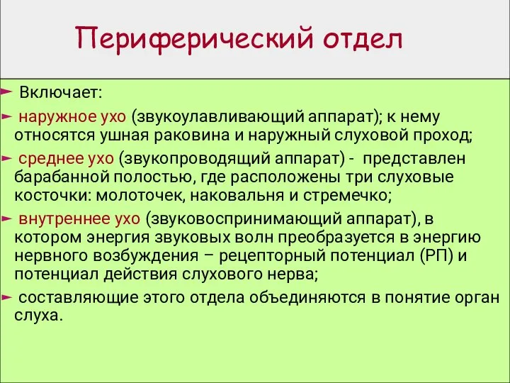 Периферический отдел Включает: наружное ухо (звукоулавливающий аппарат); к нему относятся ушная раковина