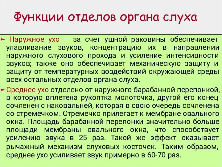 Функции отделов органа слуха Наружное ухо – за счет ушной раковины обеспечивает