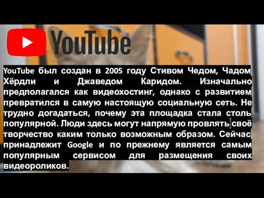 YouTube был создан в 2005 году Стивом Чедом, Чадом Хёрдли и Джаведом