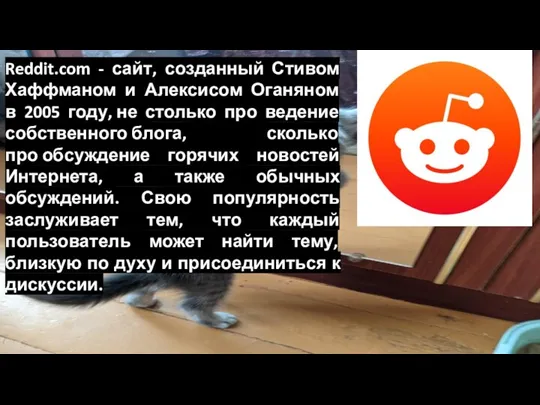 Reddit.com - сайт, созданный Стивом Хаффманом и Алексисом Оганяном в 2005 году,