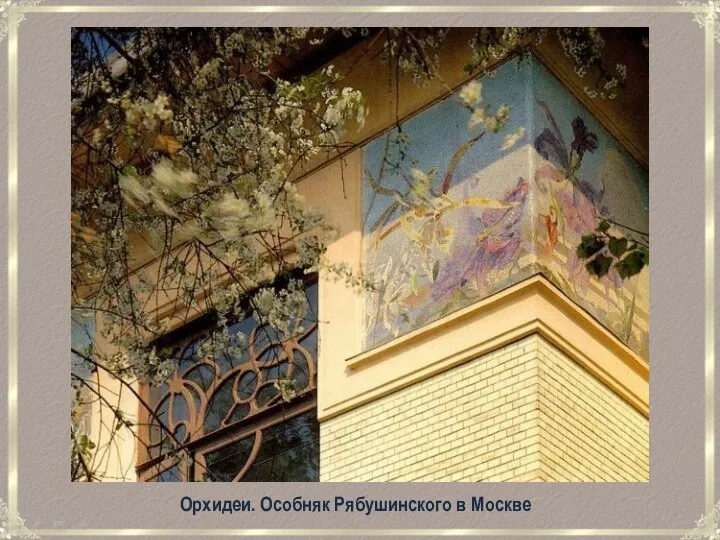 Орхидеи. Особняк Рябушинского в Москве