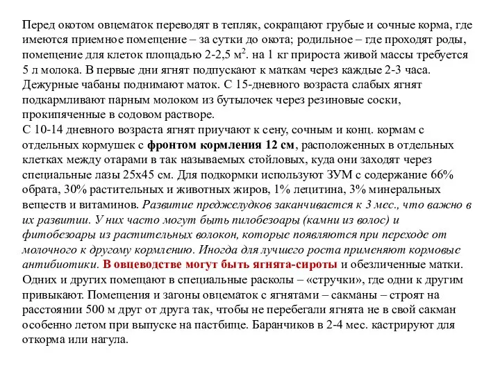 Перед окотом овцематок переводят в тепляк, сокращают грубые и сочные корма, где