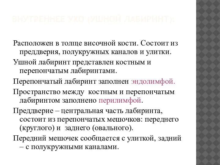 ВНУТРЕННЕЕ УХО (УШНОЙ ЛАБИРИНТ): Расположен в толще височной кости. Состоит из преддверия,