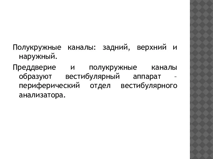 Полукружные каналы: задний, верхний и наружный. Преддверие и полукружные каналы образуют вестибулярный