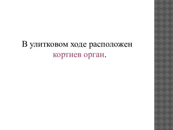 В улитковом ходе расположен кортиев орган.