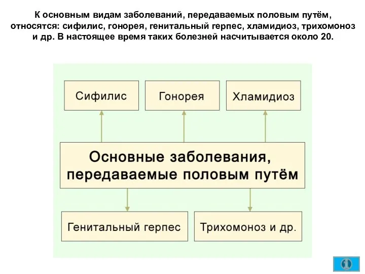 К основным видам заболеваний, передаваемых половым путём, относятся: сифилис, гонорея, генитальный герпес,