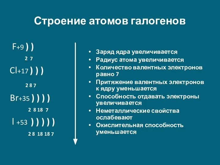 Строение атомов галогенов F+9 ) ) 2 7 Cl+17 ) ) )