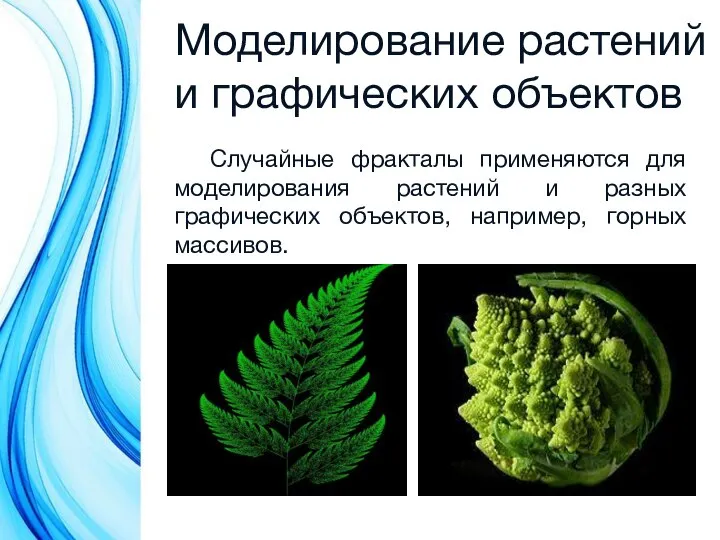 Моделирование растений и графических объектов Случайные фракталы применяются для моделирования растений и