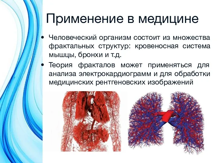 Применение в медицине Человеческий организм состоит из множества фрактальных структур: кровеносная система