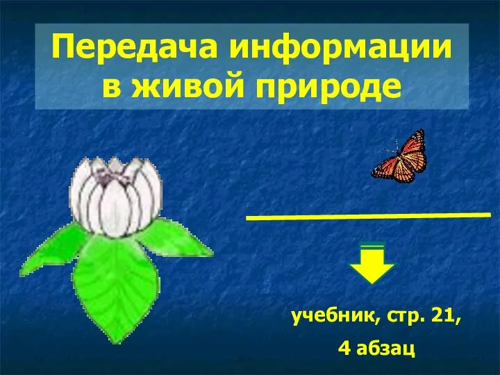 Передача информации в живой природе учебник, стр. 21, 4 абзац