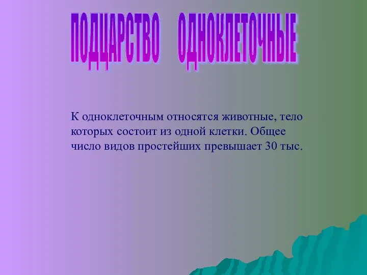 ПОДЦАРСТВО ОДНОКЛЕТОЧНЫЕ К одноклеточным относятся животные, тело которых состоит из одной клетки.