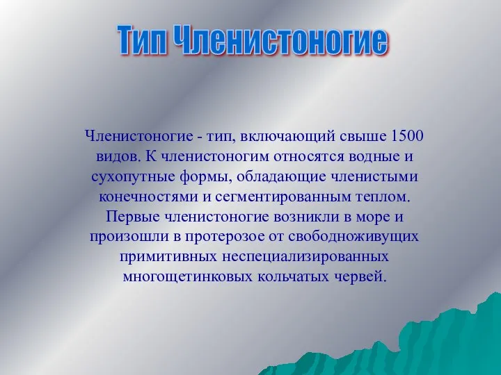 Тип Членистоногие Членистоногие - тип, включающий свыше 1500 видов. К членистоногим относятся