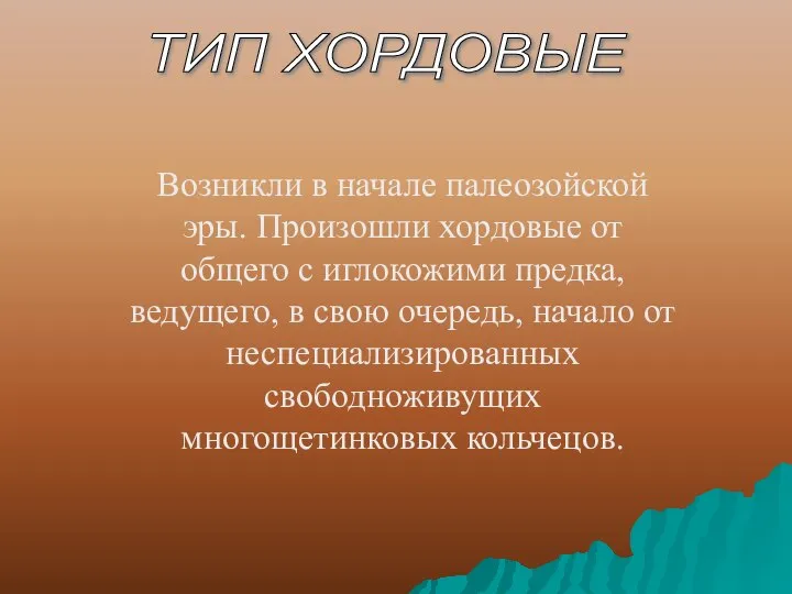 ТИП ХОРДОВЫЕ Возникли в начале палеозойской эры. Произошли хордовые от общего с